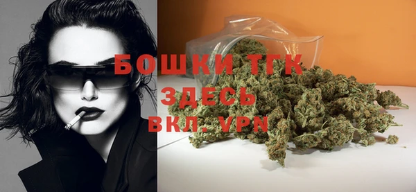 шишки Арсеньев
