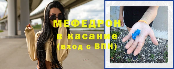 шишки Арсеньев