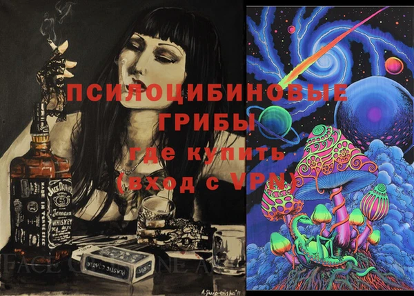 шишки Арсеньев