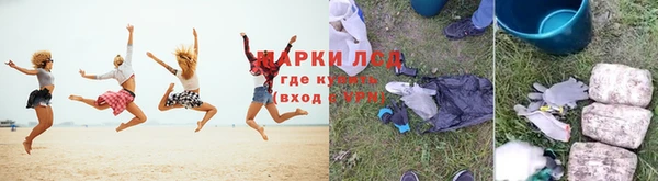 шишки Арсеньев