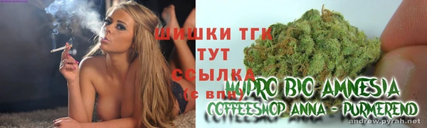 хмурый Армянск