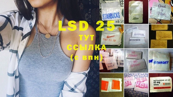 шишки Арсеньев
