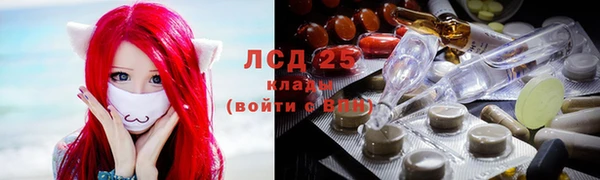 шишки Арсеньев