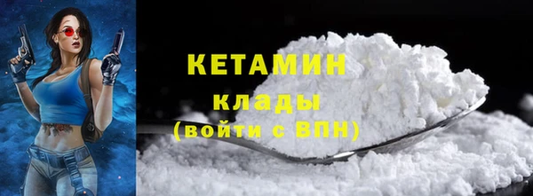шишки Арсеньев