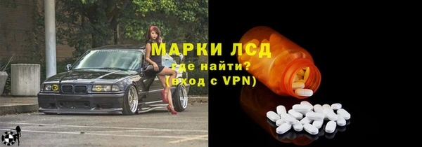 шишки Арсеньев