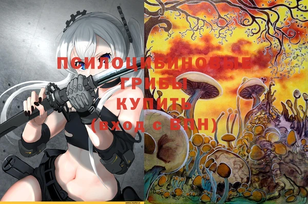 бошки Аркадак
