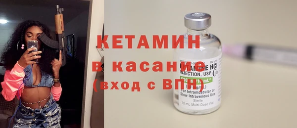 шишки Арсеньев