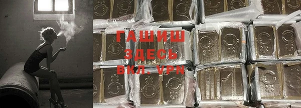шишки Арсеньев