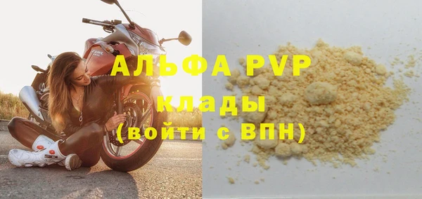 шишки Арсеньев