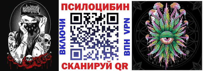 закладка  Циолковский  Галлюциногенные грибы Psilocybe 